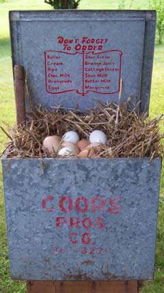 chicken-nesting-boxes